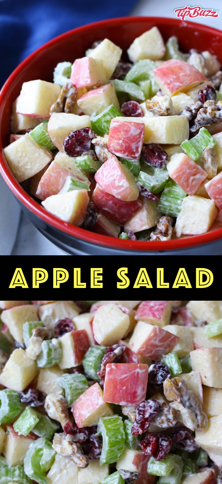 Apple Salad is a healthy lunch or side dish with a nice crunch. It comes together in about 10 minutes using simple ingredients: apples, walnuts, celery, raisins and mayonnaise or yogurt as a dressing. Perfect for parties, potlucks, barbecues and more. #applesalad