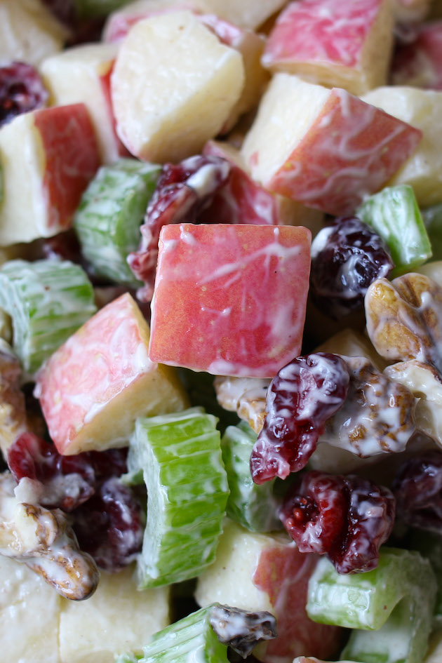 Chunks of Fuji apples with celery, walnuts and cranberries that have been lightly coated with a yogurt dressing