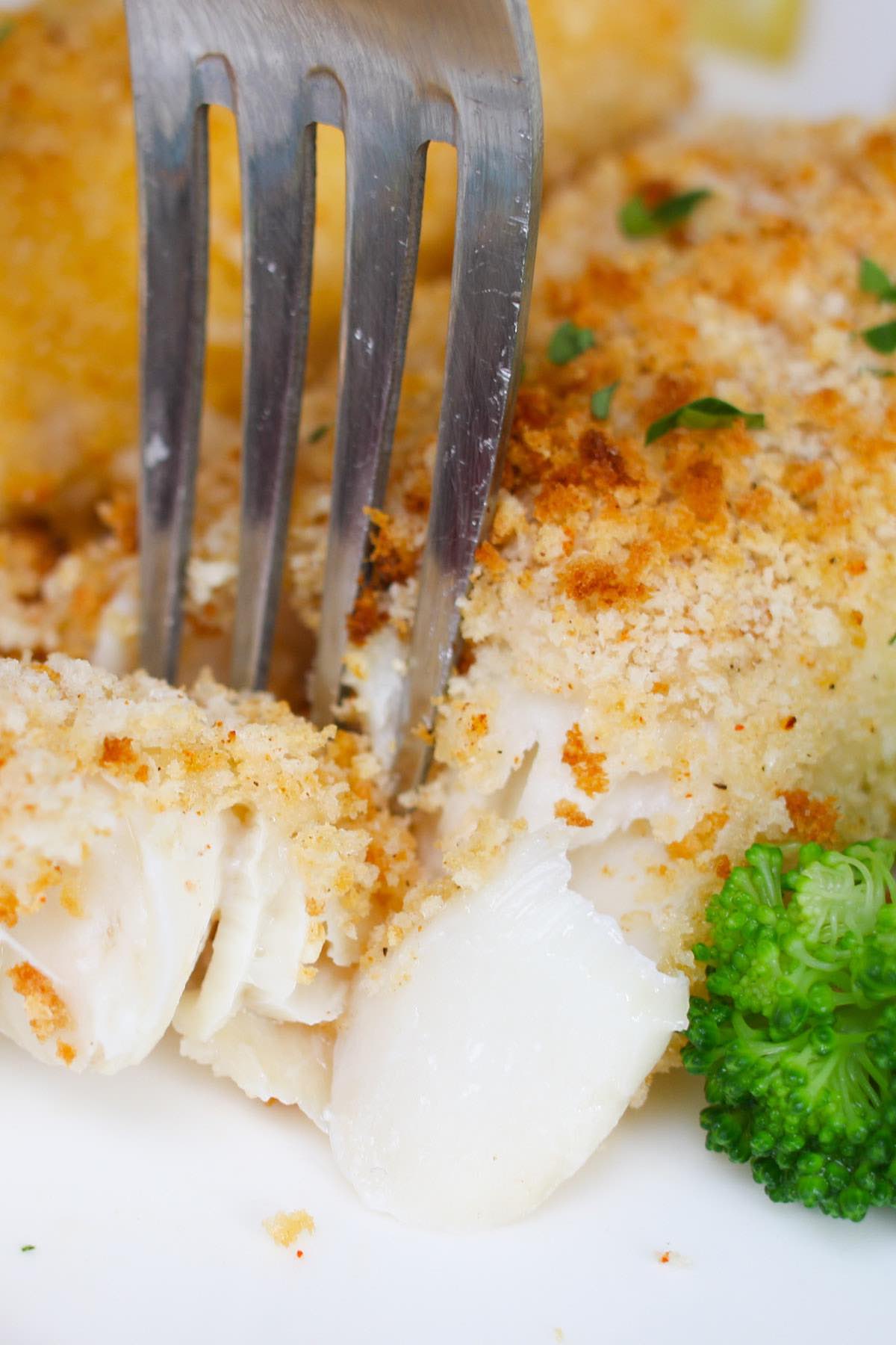 Closeup of perfectly cooked baked haddock with opaque flesh that is flaking easily with a fork
