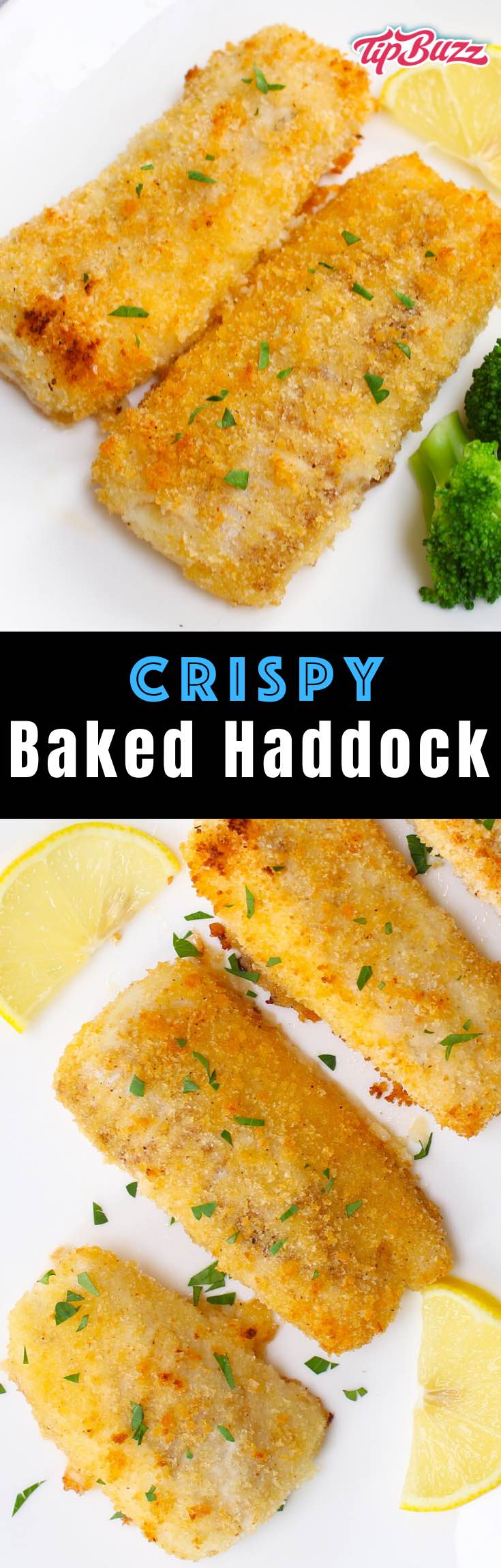 Oven Baked Haddock - TipBuzz