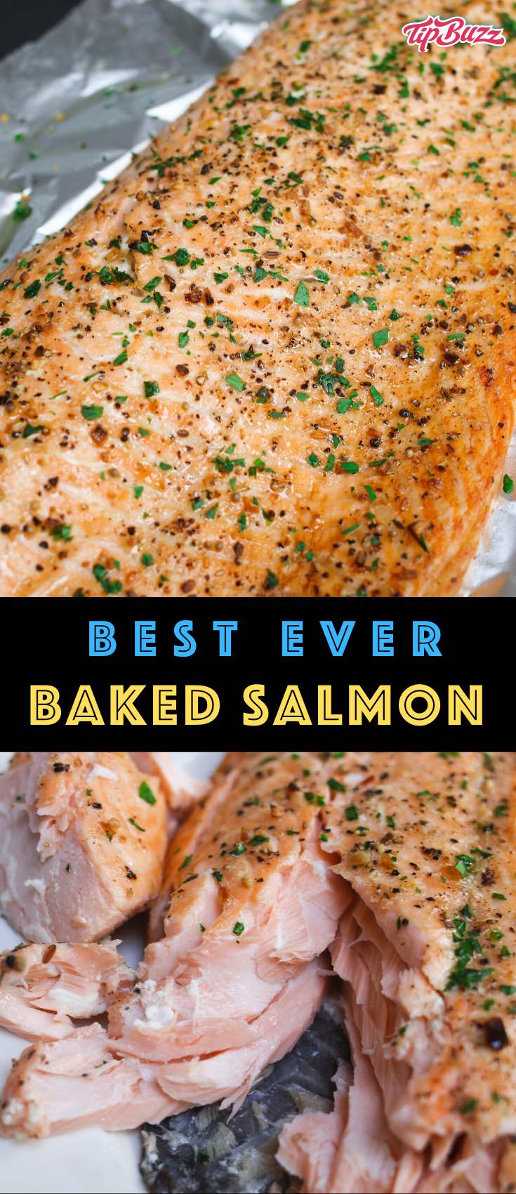 How Long to Bake Salmon in Oven - TipBuzz
