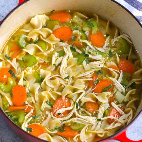 Homemade Chicken Noodle Soup Recipe | TipBuzz