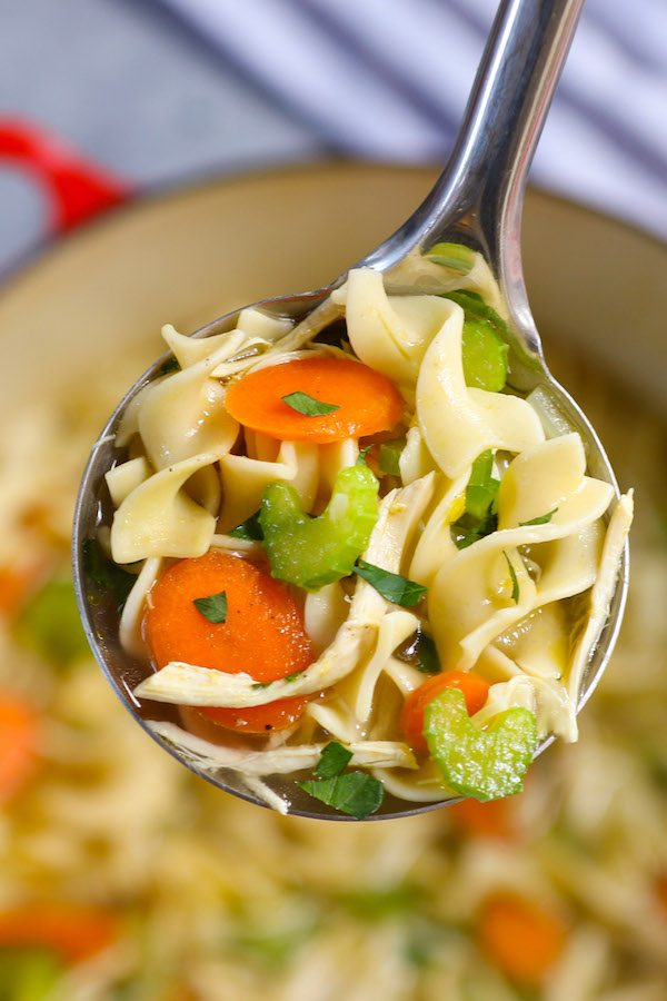 A ladle of chicken noodle soup in pot