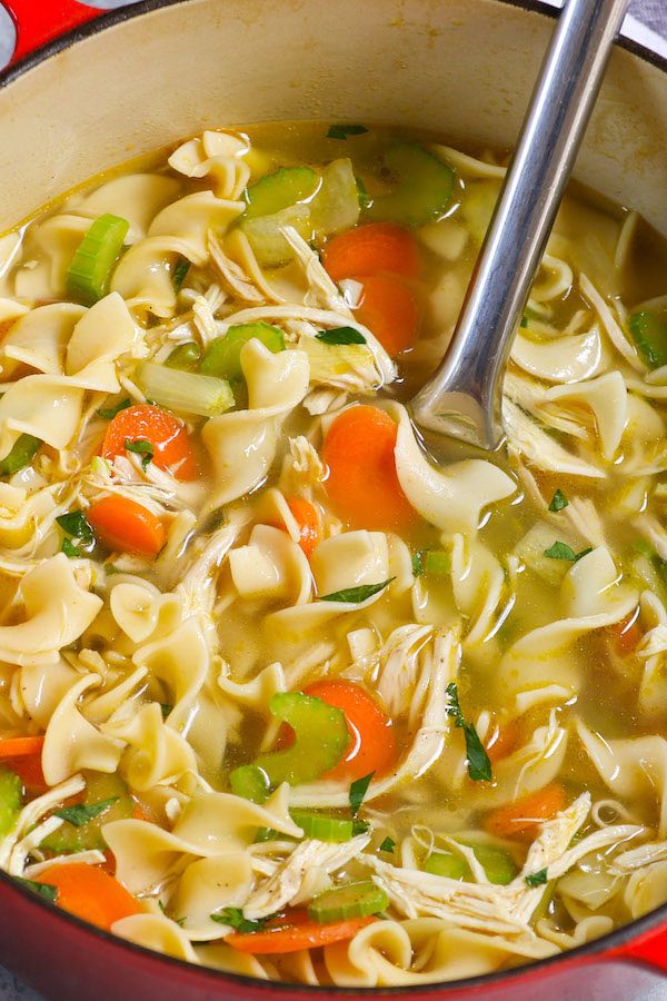Homemade Chicken Noodle Soup Recipe TipBuzz