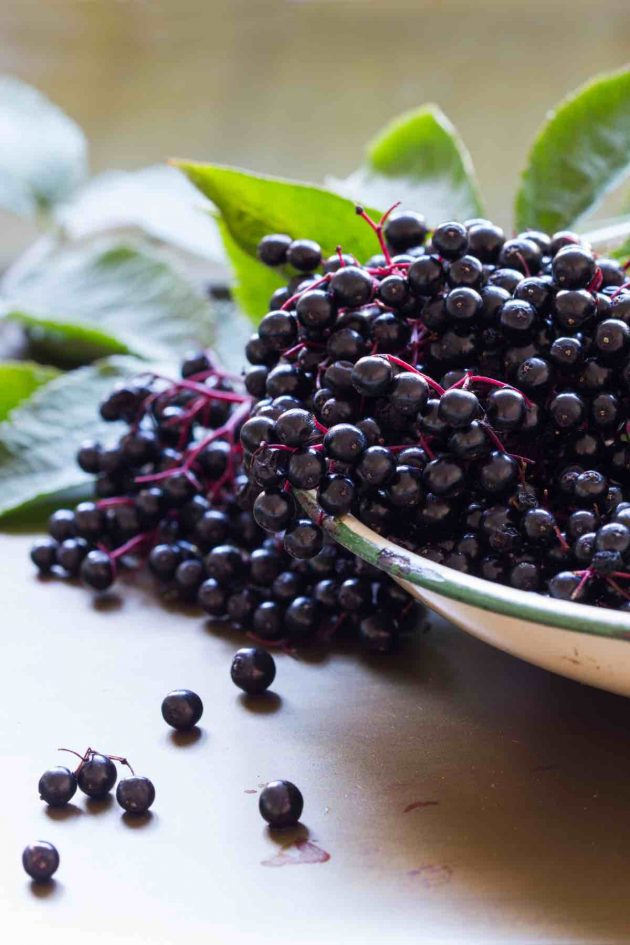 Elderberries