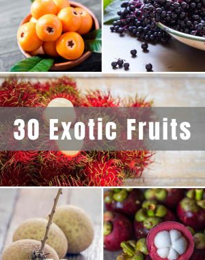 For those who love trying new things, why not venture outside of the norm and try some Exotic Fruits from all over the world? From tropical Caribbean fruits to exotic berries from Asia, there are so many tasty and unique options to try. They’re nutritious with so many health benefits!