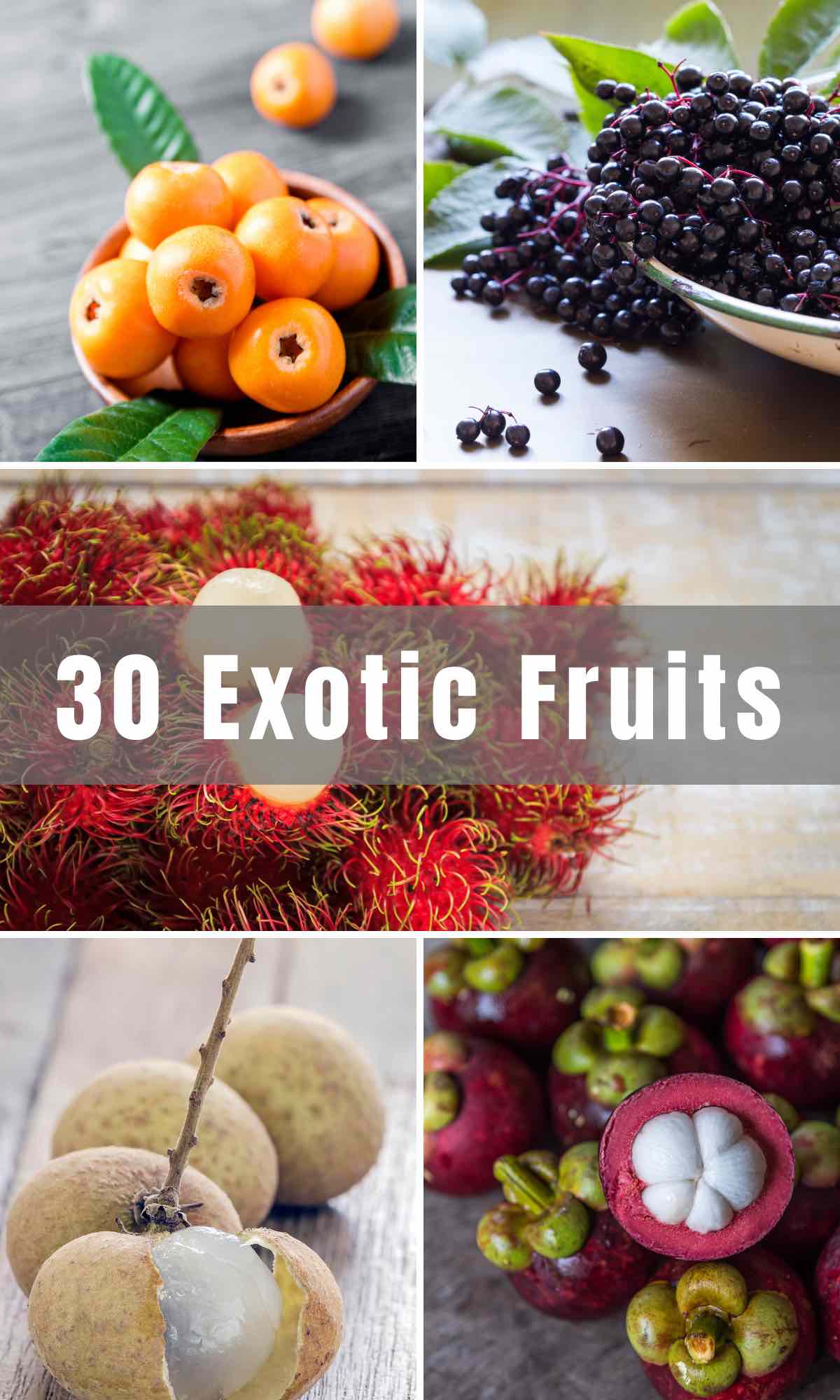 For those who love trying new things, why not venture outside of the norm and try some Exotic Fruits from all over the world? From tropical Caribbean fruits to exotic berries from Asia, there are so many tasty and unique options to try. They’re nutritious with so many health benefits!