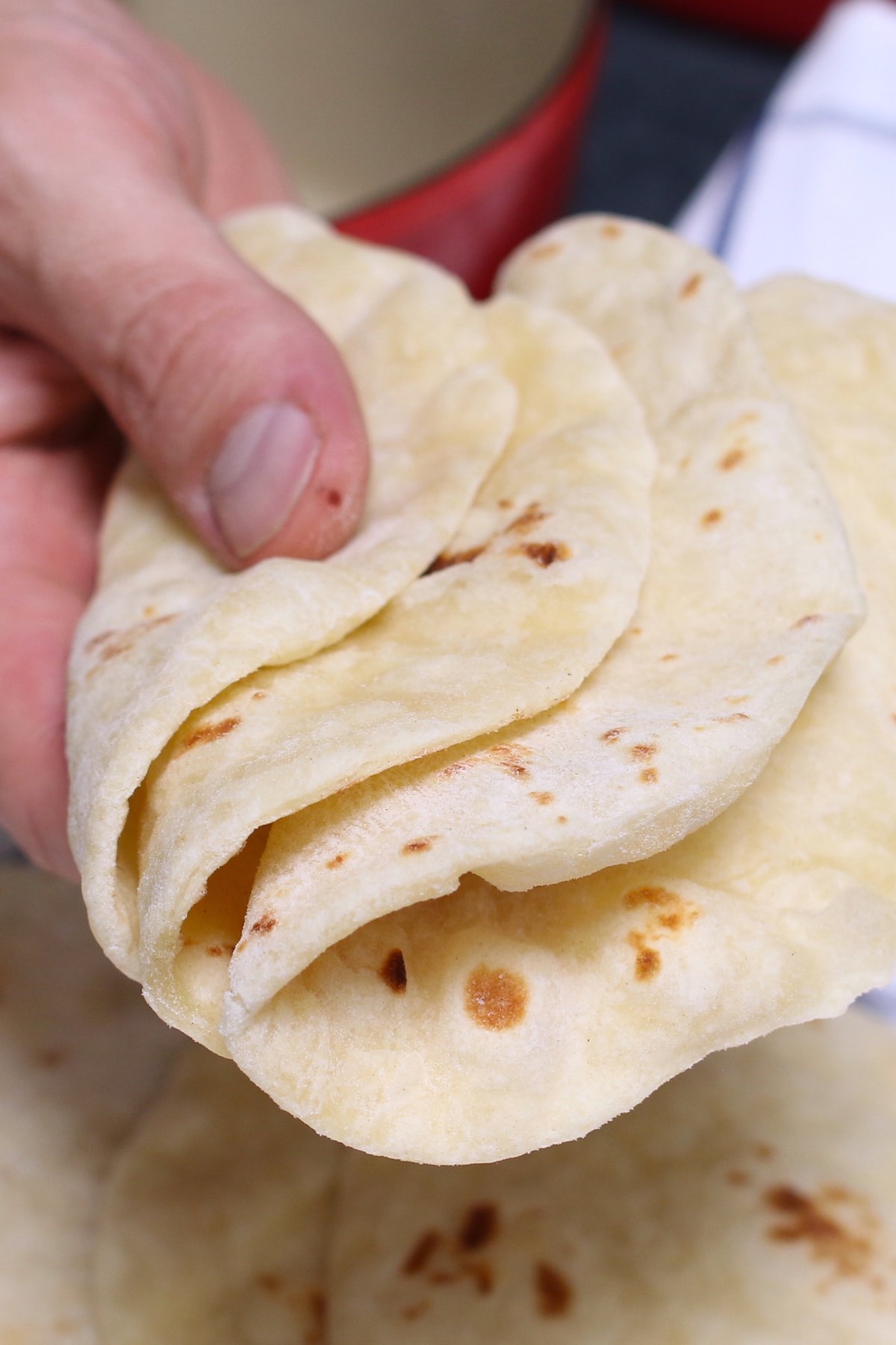 Holding freshly cooked flour tortillas