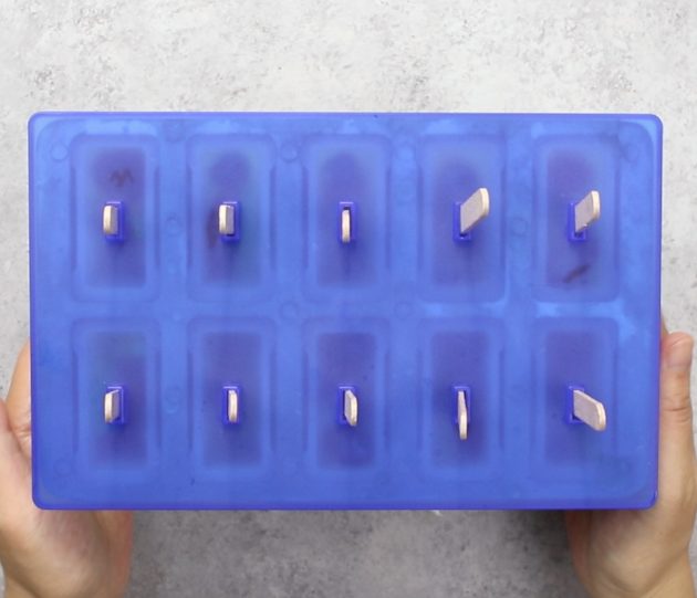 Overhead view of a popsicle mold ready for freezing