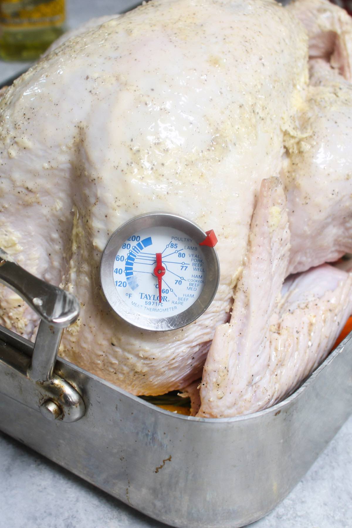 Insert an oven-proof food thermometer into the turkey before roasting.