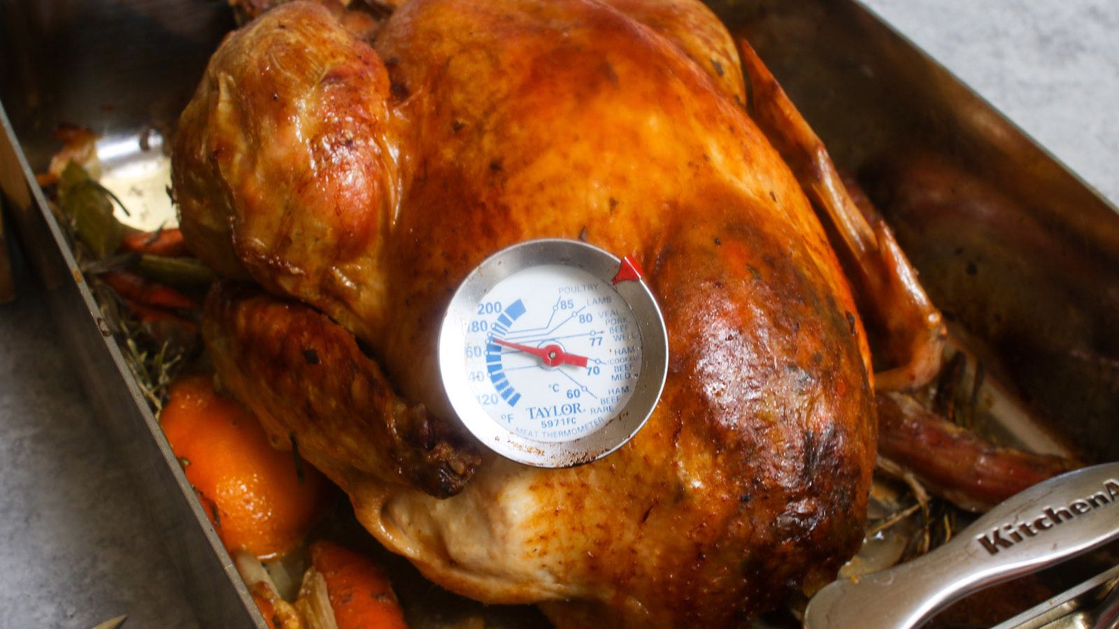 Meat thermometer inserted into a whole roast turkey reading 170 degrees F, indicating the turkey is done