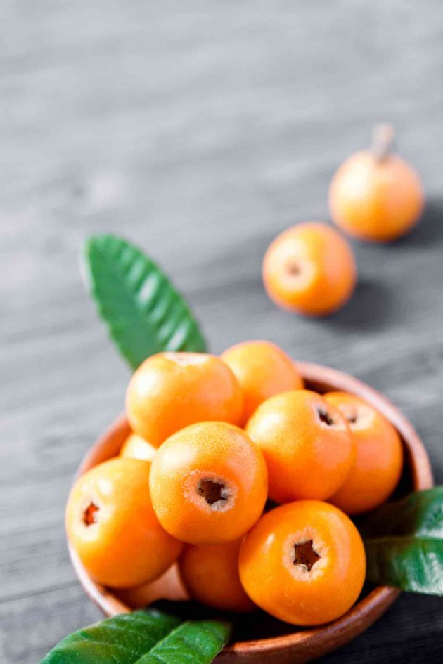 Loquat