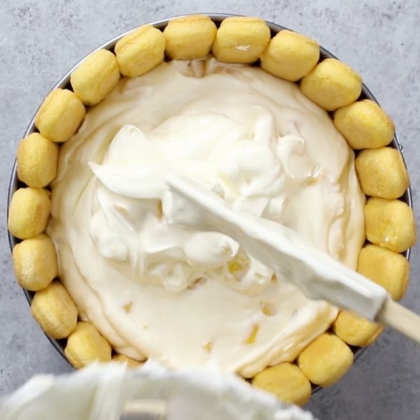 This photo shows adding cheesecake filling to a ladyfinger-lined charlotte mold to make mango cheesecake charlotte