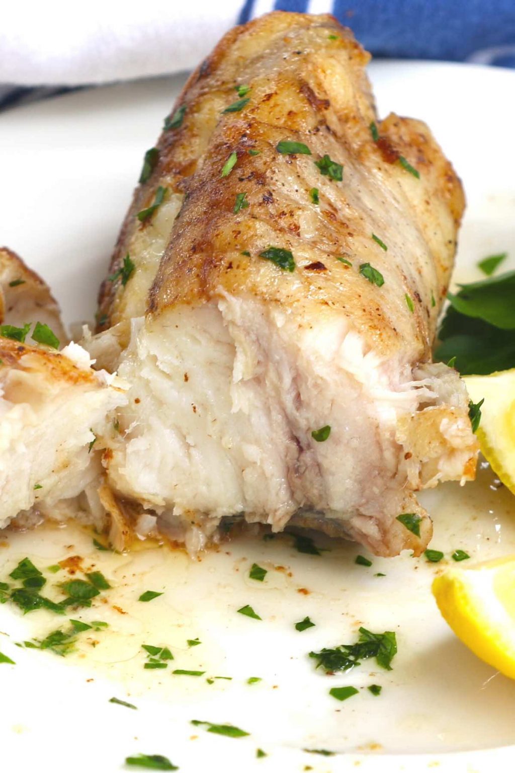 How to Cook Monkfish TipBuzz