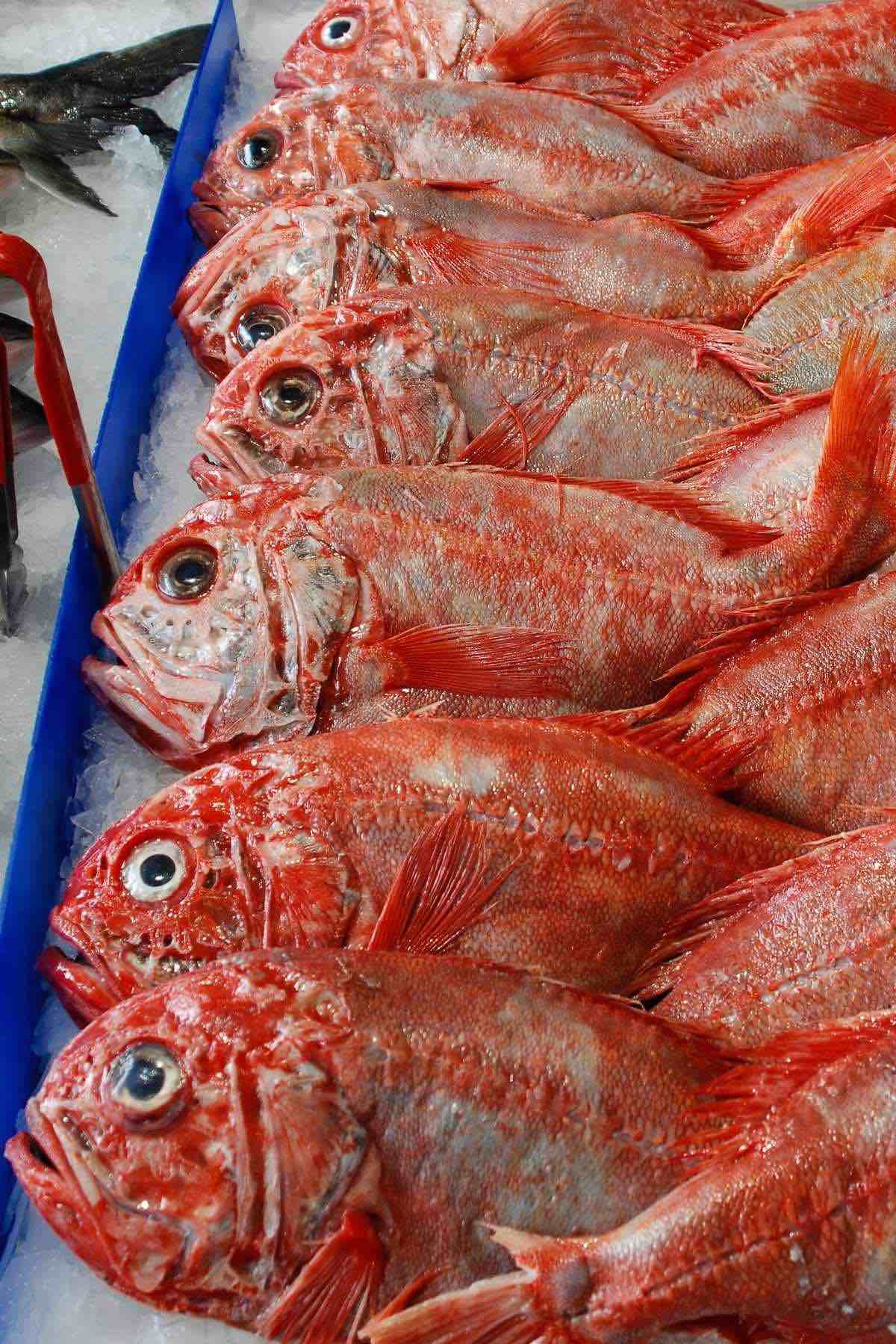 Whole orange roughy at a fish market