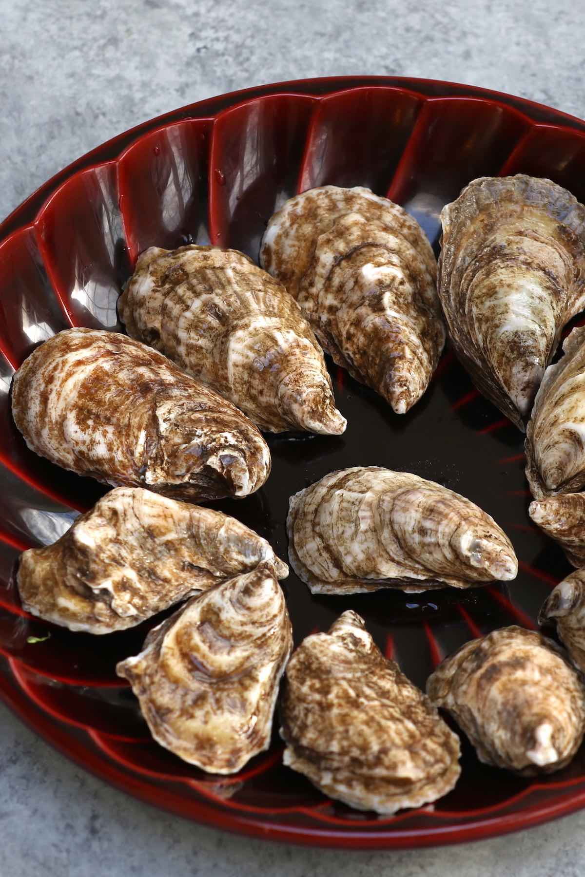 How to Shuck Oysters in 10 Easy Steps!