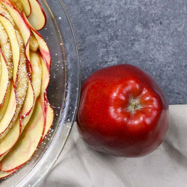 This is a photo of a Red Delicious apple next to a cinnamon roll Apple Rose dessert made with it