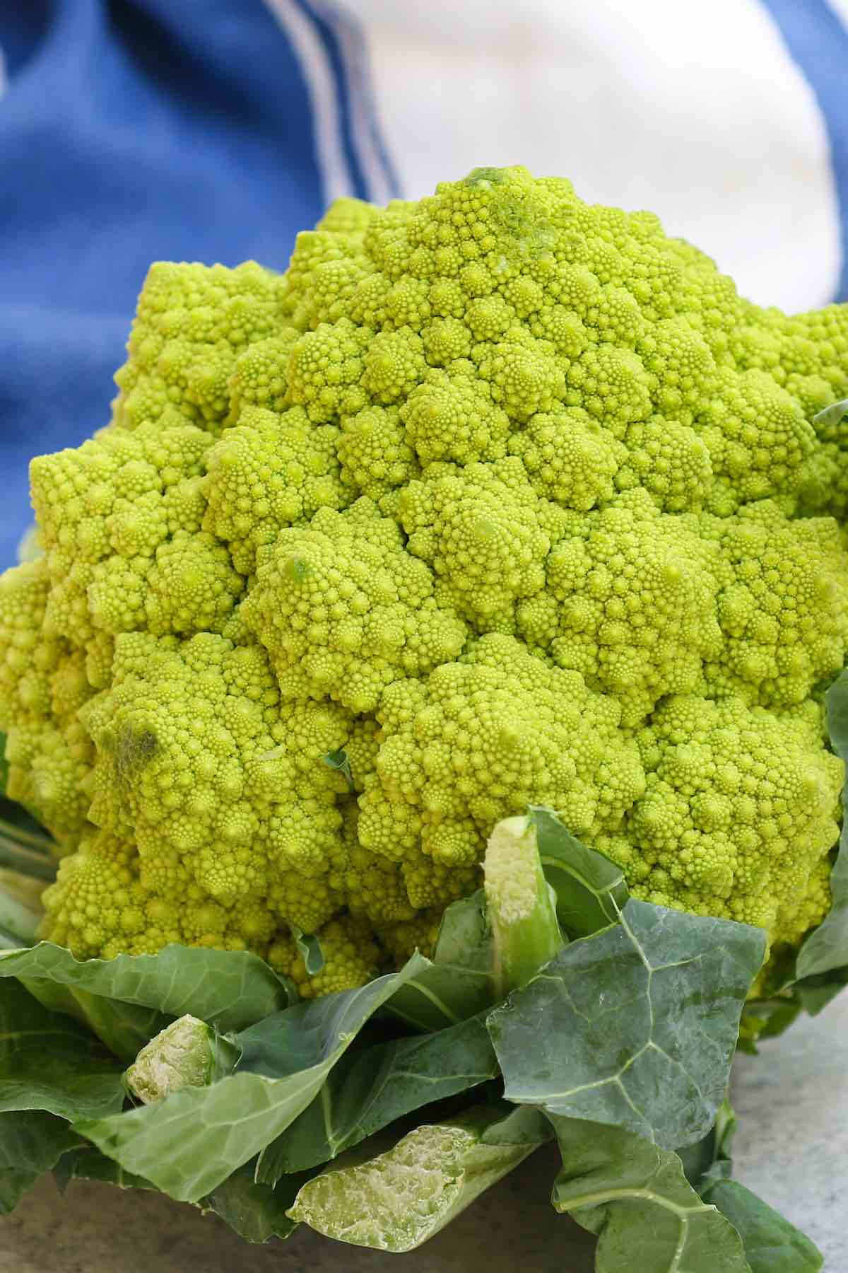 A head of fresh romanesco broccoli
