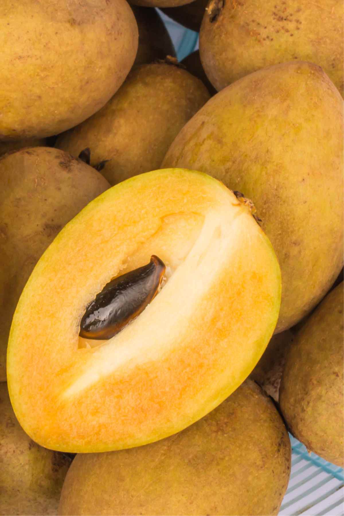 Sapodilla fruit from Mexico