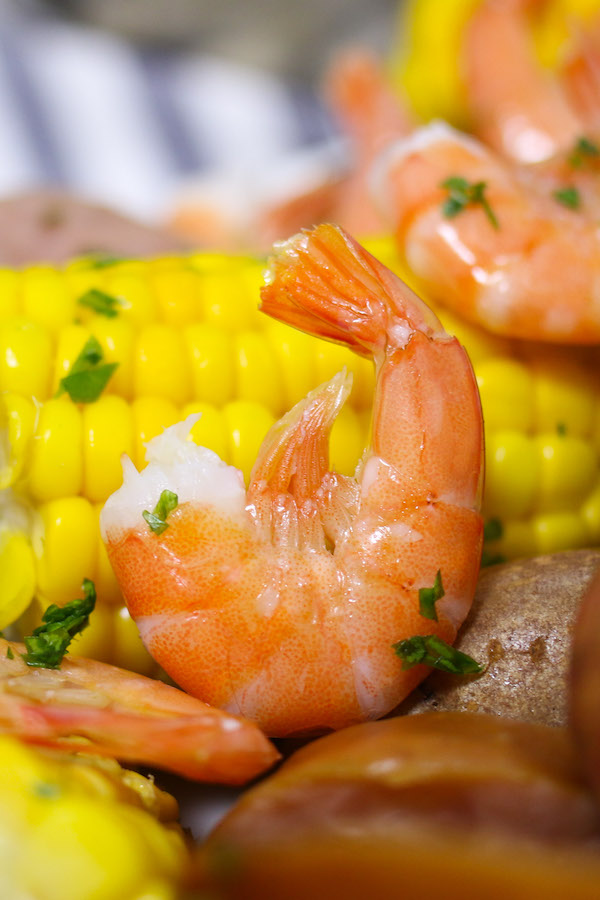Closeup of a large-size shrimp with the shell on in a shrimp boil ready to be eaten