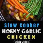 The easiest, most unbelievably delicious Slow Cooker Honey Garlic Chicken With Veggies. It’s one of my favorite crock pot recipes. Succulent chicken cooked in honey, garlic, soy sauce and mixed vegetables. Preparation is an easy 15 minutes. Easy one pot recipe. Video recipe. | Tipbuzz.com
