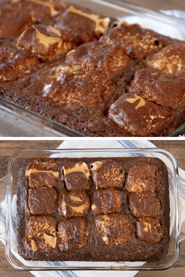 Smore Brownies in a rectangular baking dish after baked to gooey perfection