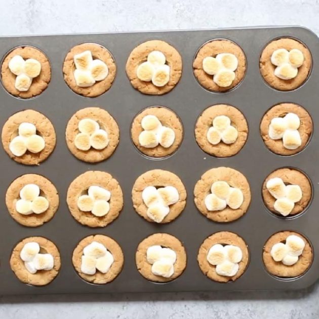 A mini muffin pan full of cookies with toasted mini marshmallows on top