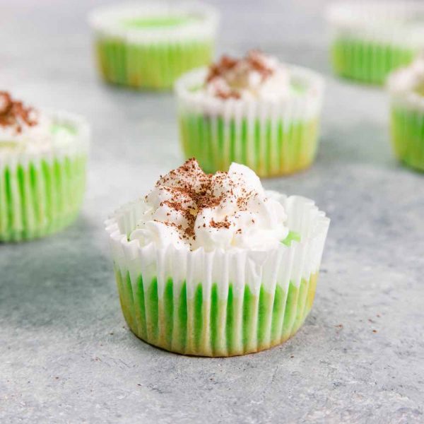 These Mini Mint Cheesecake Cupcakes garnished with whipped cream and chocolate shavings for an easy dessert you can make for St Patricks Day, birthday parties and more.