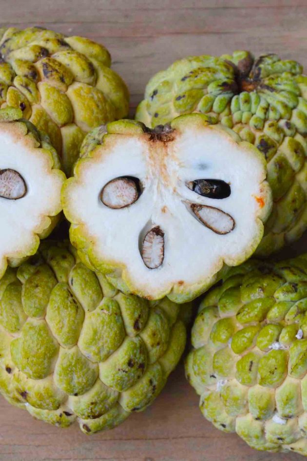 If you’re looking to try a new and unusual tropical fruit, you may want to check out the Sugar Apple. Also known as custard apples or sweet sop, this tasty fruit is quite common in West Indian countries such as Jamaica, as well as South and Central America.