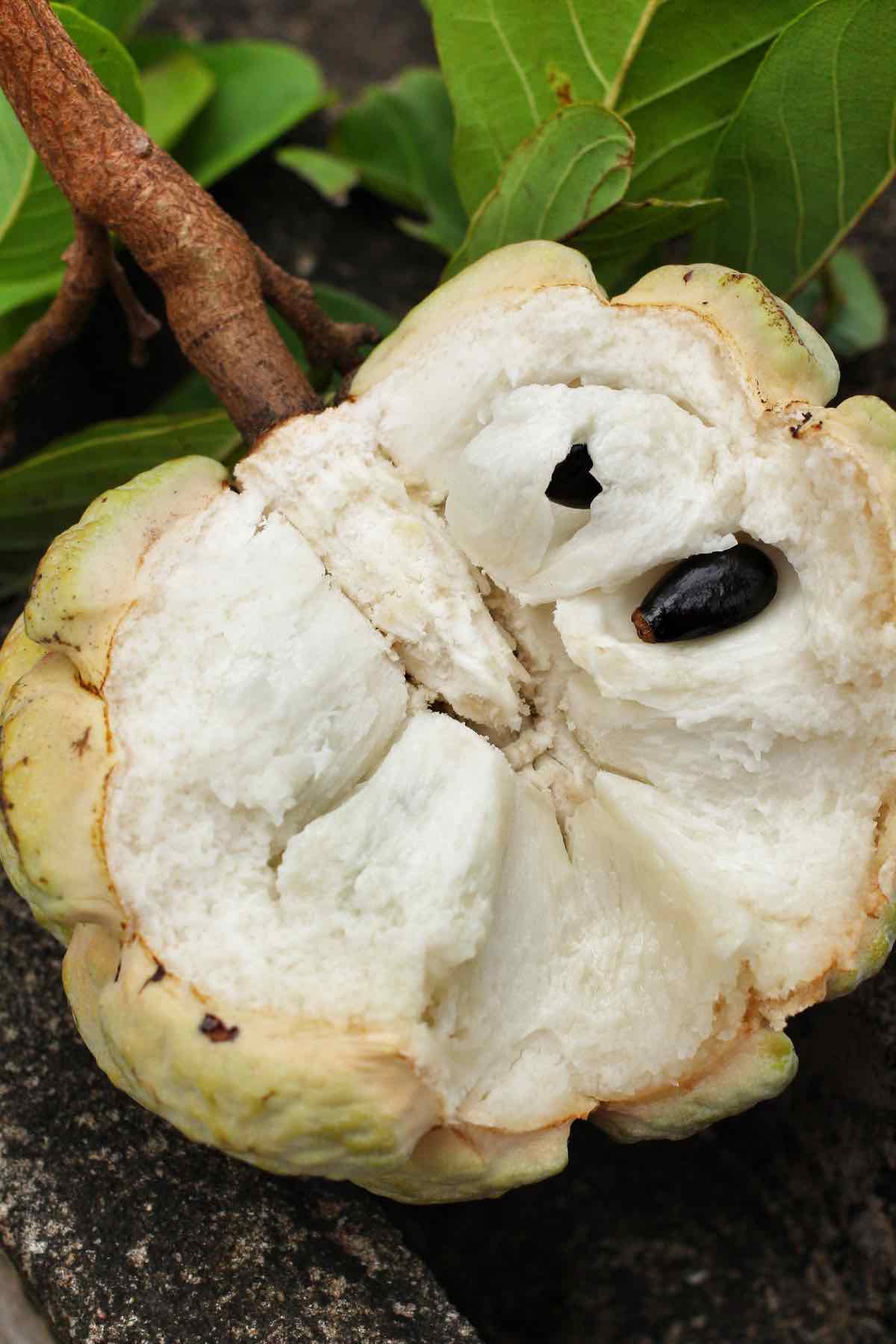 Custard apples: What the heck are they and why should you eat them?