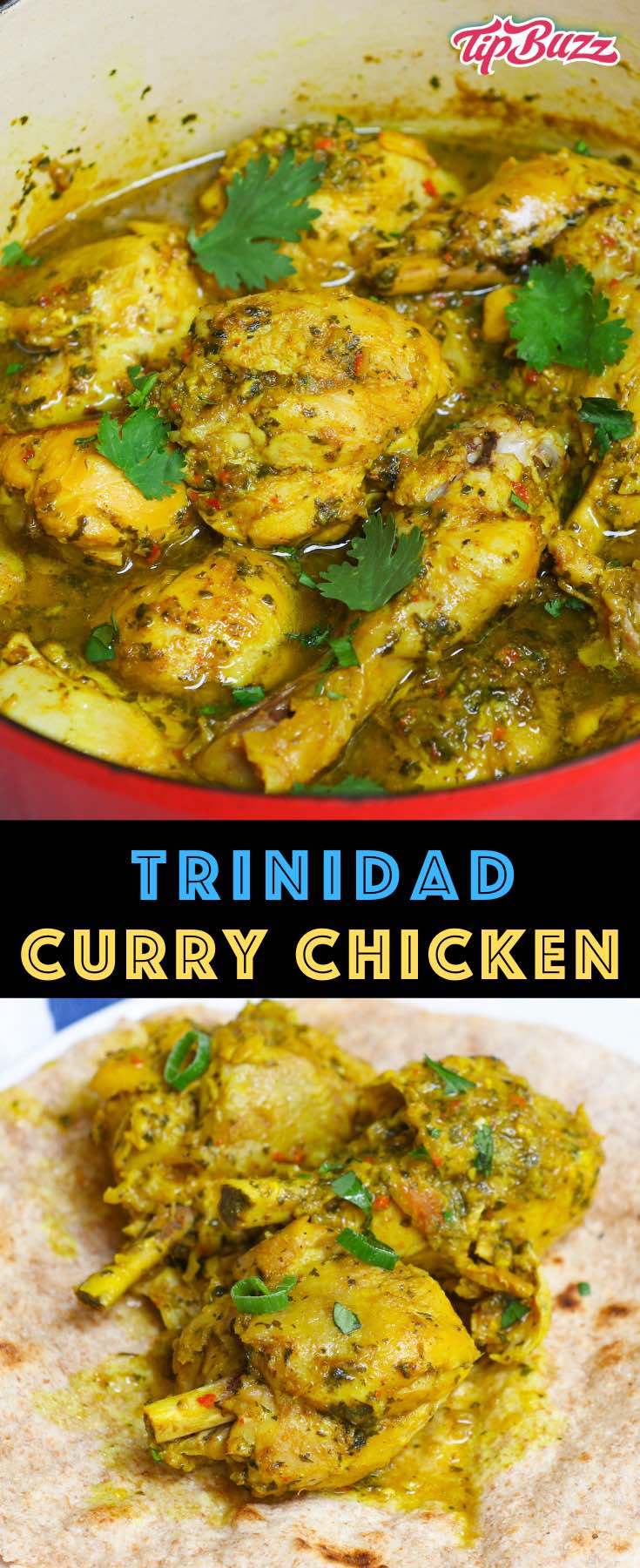 Trinidad Curry Chicken (West Indies Curry Chicken) - TipBuzz