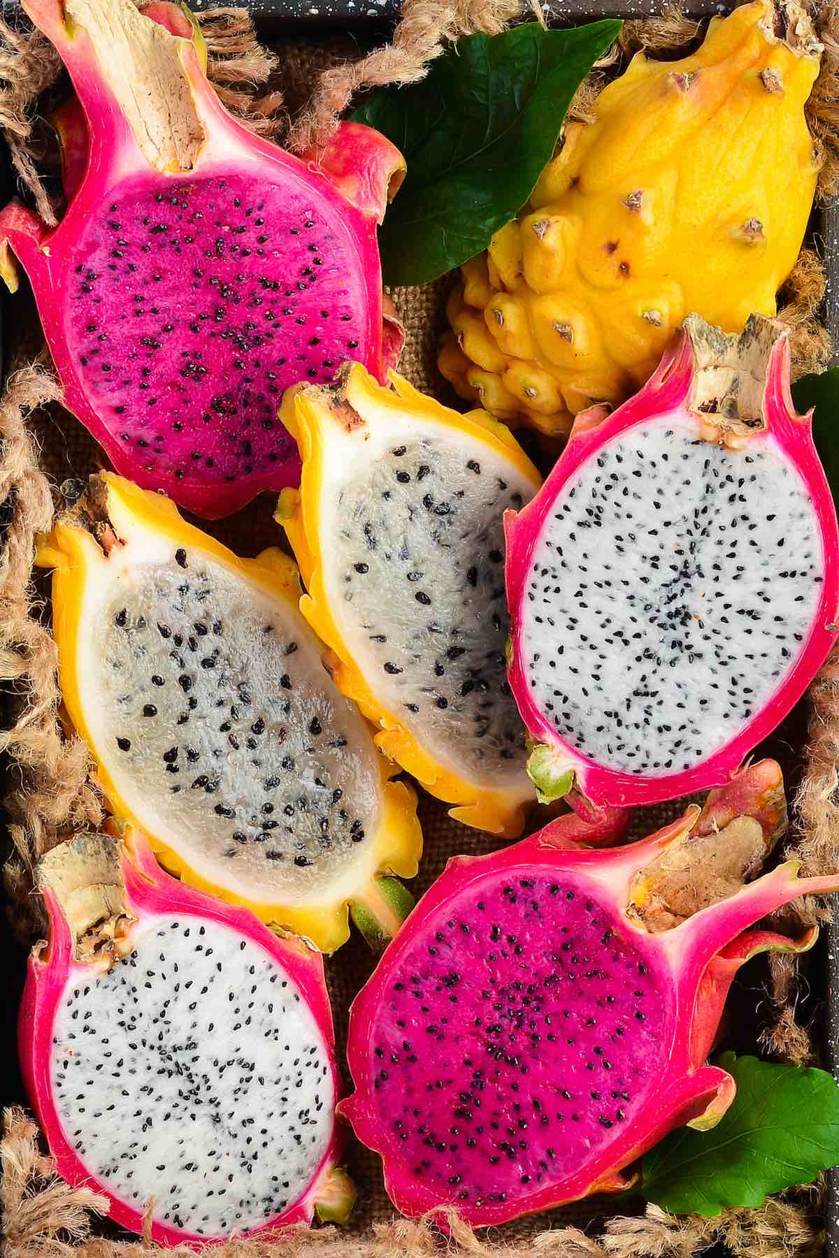 Gold Dragon Fruit