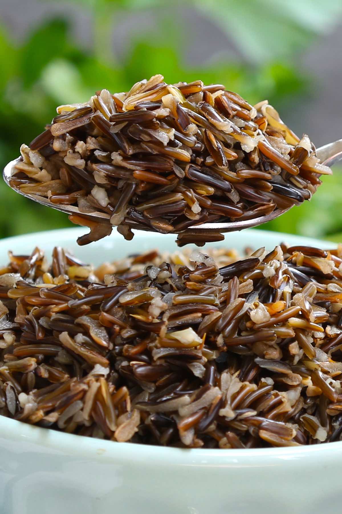 A large spoonful of wild rice